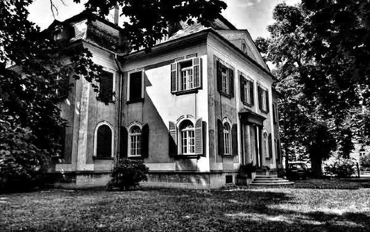Die Steuervilla, Seitenansicht