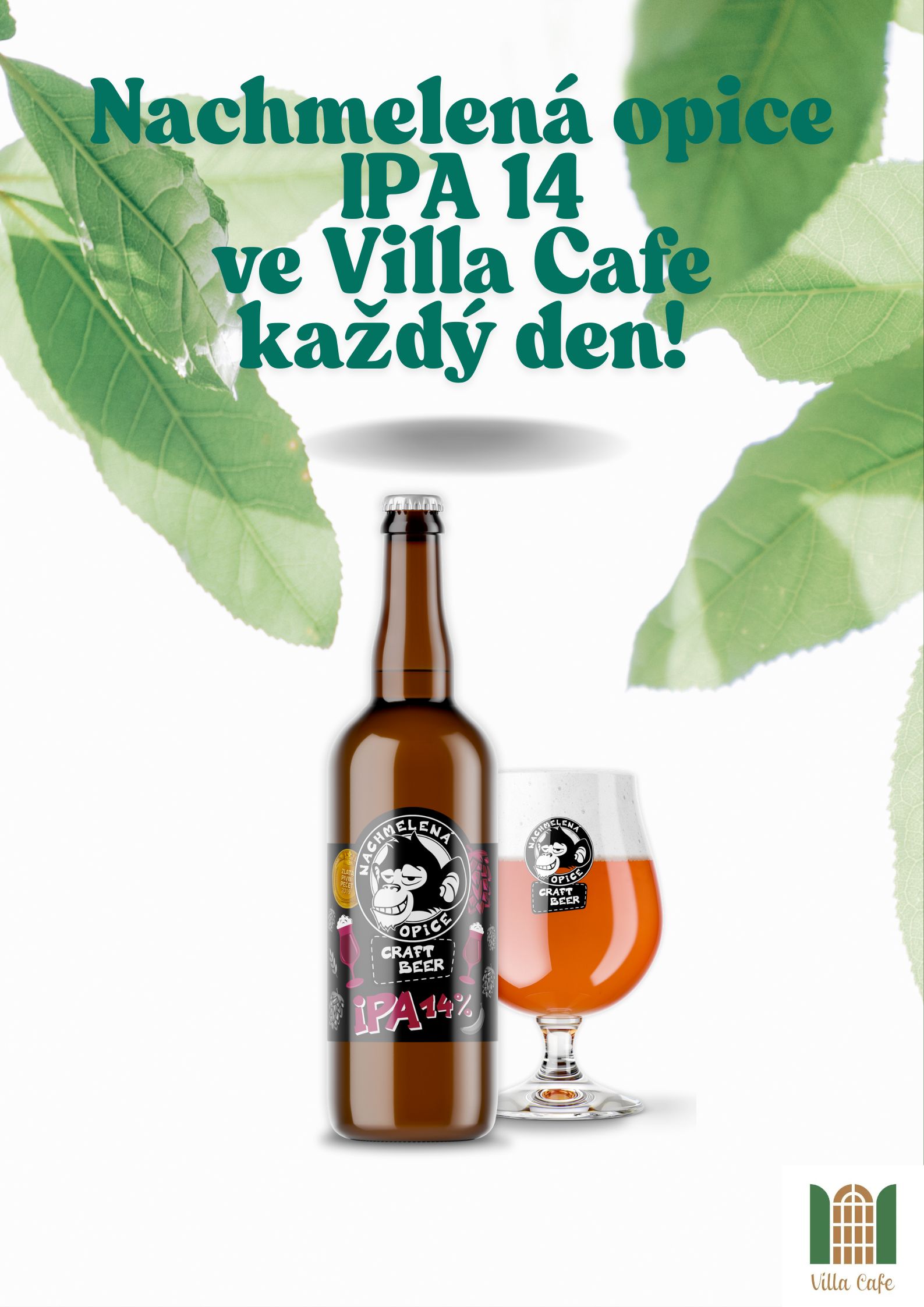 Novinka na čepu ve Villa Cafe - Nachmelená Opice IPA 14