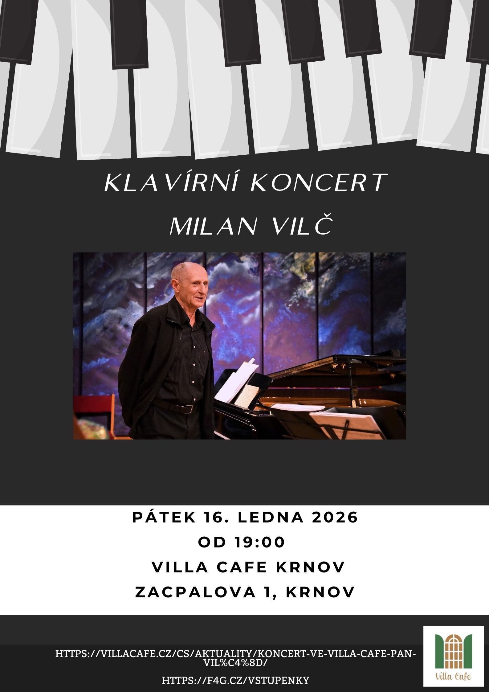 Koncert Milan Vilč